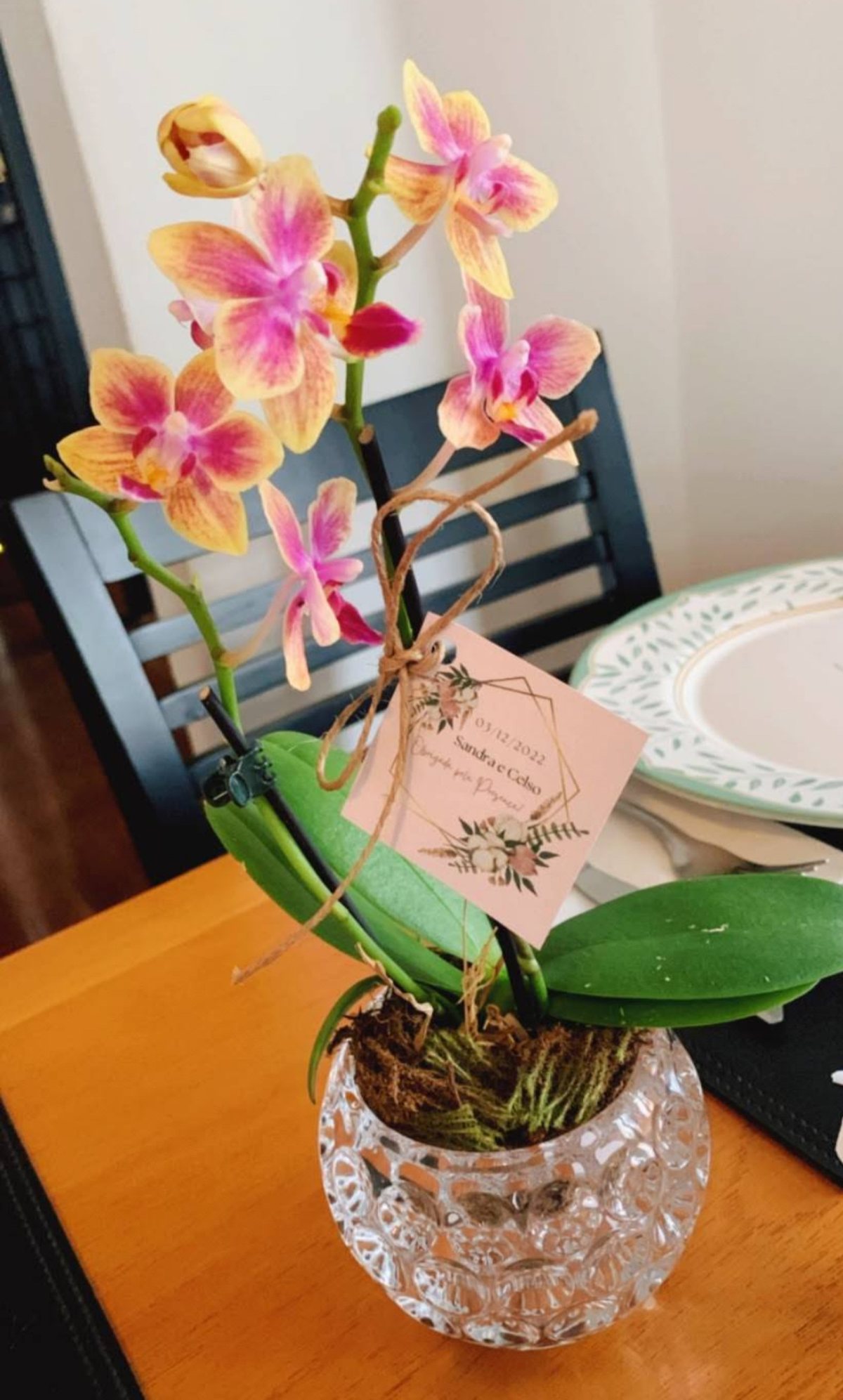 Orquídea de presente com cartão personalizado
