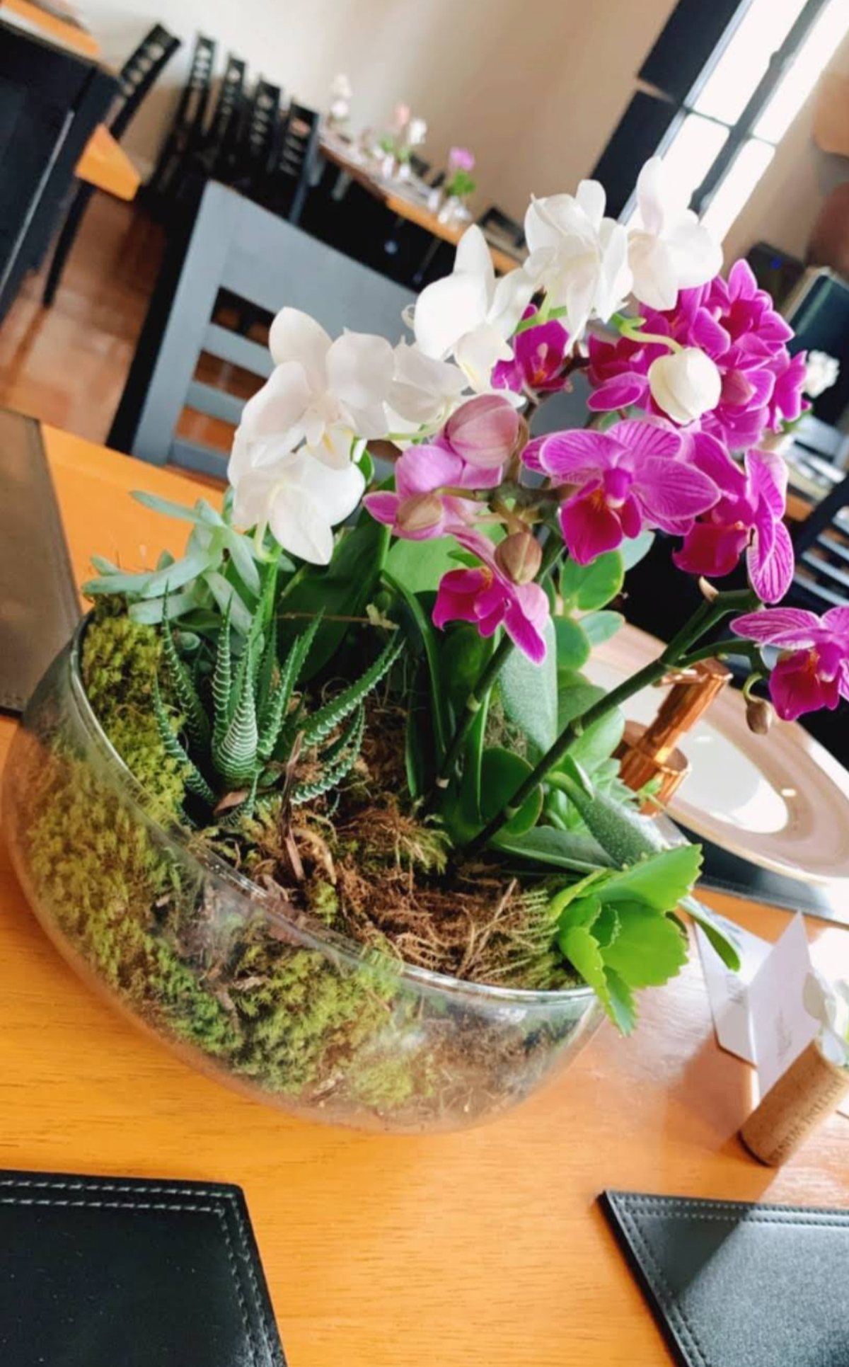 Terrário de vidro com orquídeas e suculentas